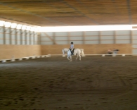 Dressage Test