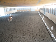 Dressage Test