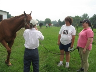 Horse Talk