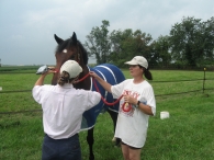 More Horse Talk